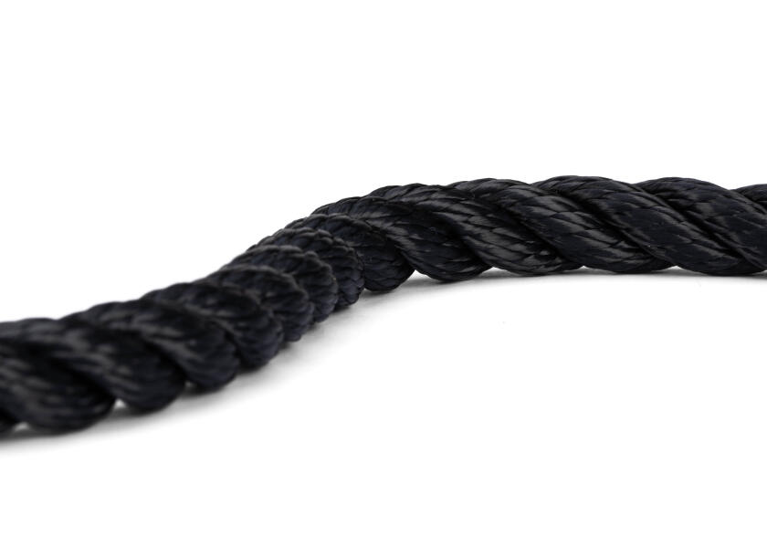 Купить GLEISTEIN 449080320 GeoPROP - Причальный / черный / Веревка-Ø: 8 мм 55727-bvs 7ft.ru в интернет магазине Семь Футов