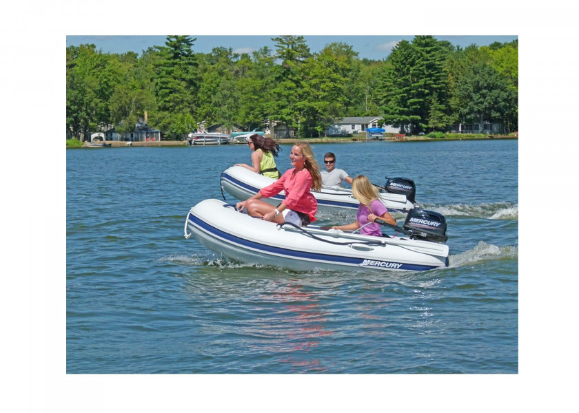Купить MERCURY F5 MH Outboard Motor / Short Shaft / Manual Start 21224-bvs 7ft.ru в интернет магазине Семь Футов