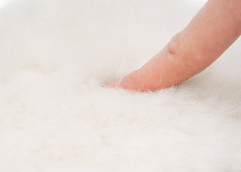 Купить SEATEC Шерстяная полировальная подушечка / Ø: 80 мм 7ft.ru в интернет магазине Семь Футов