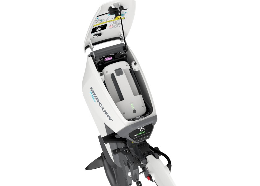 Купить MERCURY 1001E011A Электрический подвесной двигатель AVATOR 7.5 ESH 7ft.ru в интернет магазине Семь Футов