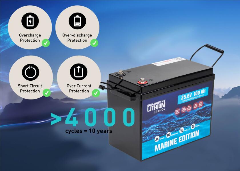 Купить Морская литиевая батарея LiFePO4 / 24 В / 100 Ач 7ft.ru в интернет магазине Семь Футов