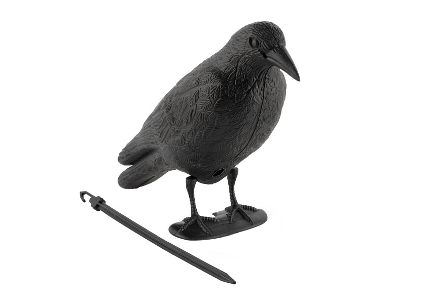 Купить PAULI Bird Deterrent 20118-bvs 7ft.ru в интернет магазине Семь Футов