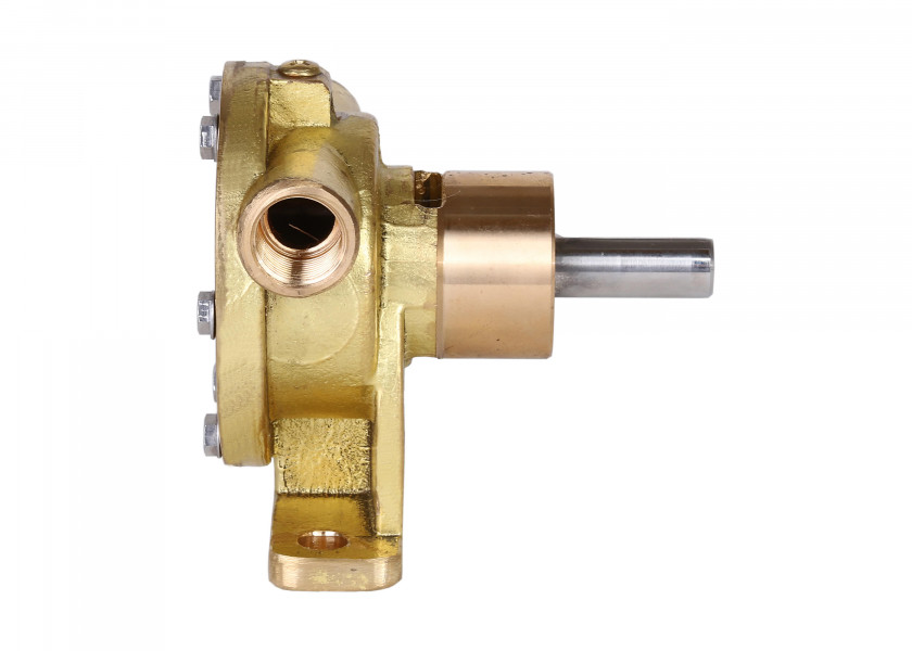 Купить Sea Water Pump / Impeller Pump for Farymann & Fischer Panda 57119-bvs 7ft.ru в интернет магазине Семь Футов