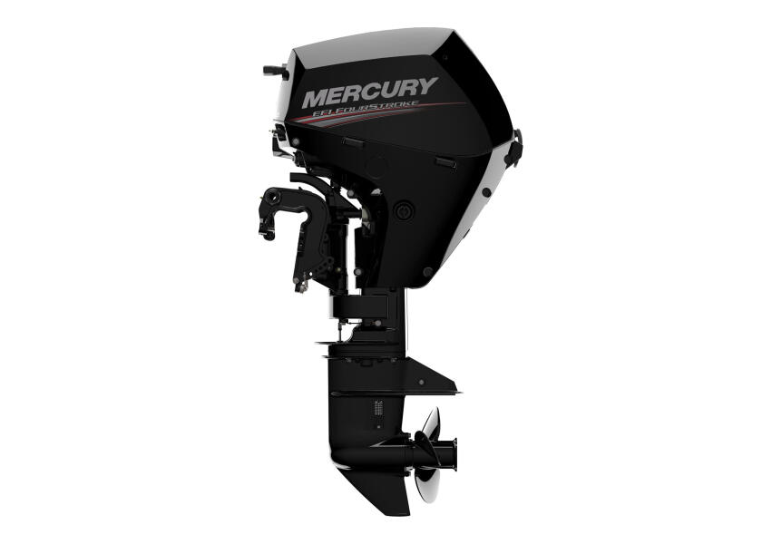 Купить MERCURY F20-EFI-EPT Подвесной мотор / короткий вал / электрический запуск / вкл. однорычажное управление 7ft.ru в интернет магазине Семь Футов