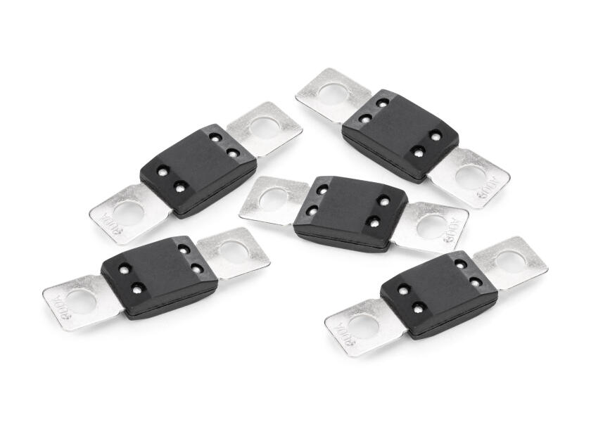 Купить МЕГА Предохранители /упаковка из 5 шт. / Значение предохранителя: 500 А 47684-bvs 7ft.ru в интернет магазине Семь Футов