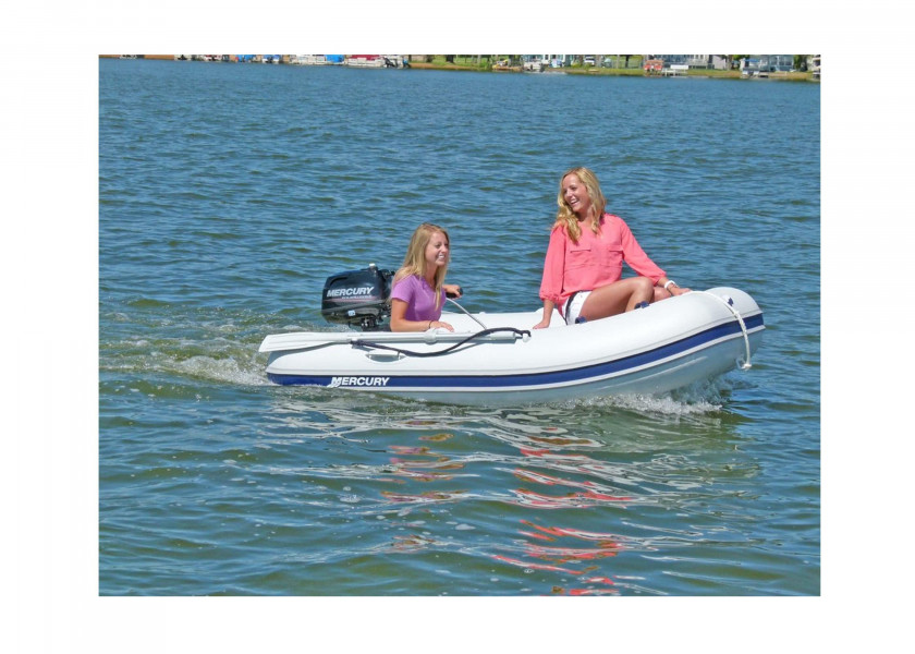 Купить MERCURY F5 MH Outboard Motor / Short Shaft / Manual Start 21224-bvs 7ft.ru в интернет магазине Семь Футов