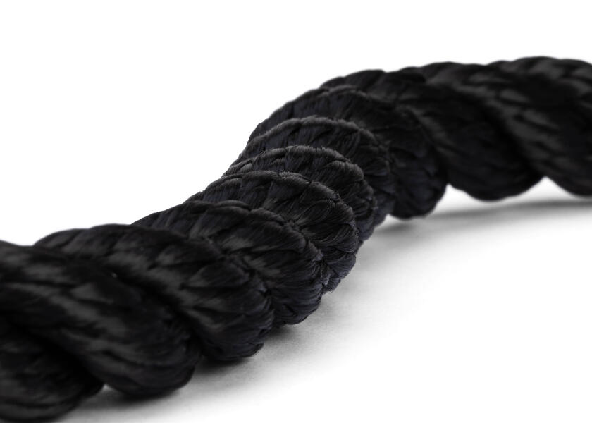 Купить GLEISTEIN 249200301 GeoTWIST Полиэстер - Трехниточный швартовочный трос / черный / Веревка-Ø: 20 мм 16215-bvs 7ft.ru в интернет магазине Семь Футов