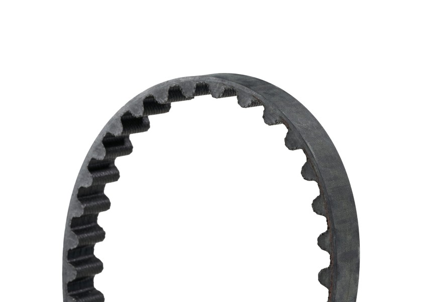 Купить MERCURY Timing Belt 8M0063135 52052-bvs 7ft.ru в интернет магазине Семь Футов