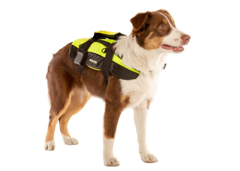 Купить PROFESSIONAL Dog Life Jacket / for 8 - 15 kg 57534-bvs 7ft.ru в интернет магазине Семь Футов