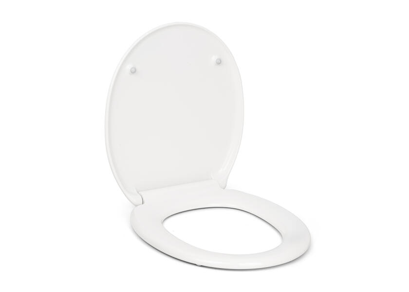 Купить SANIMARIN Replacement Lid for Sanimarin 31/35 / Soft Close 44374-bvs 7ft.ru в интернет магазине Семь Футов