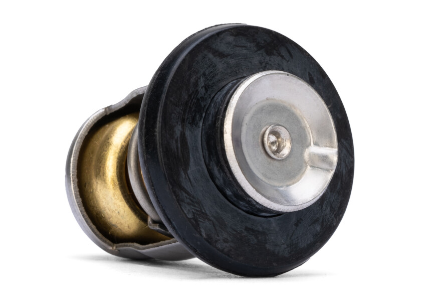 Купить MERCURY Thermostat / 60°C 8M0119207 51969-bvs 7ft.ru в интернет магазине Семь Футов