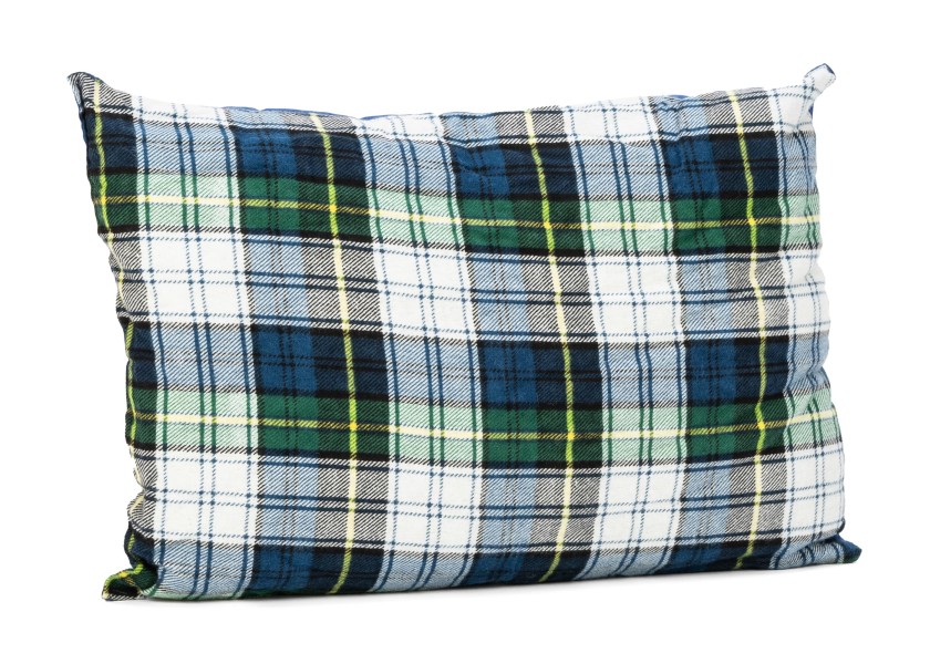 Купить Спальный мешок-одеяло с подушкой / Диапазон температур: от +10 до +5 °C 30981-bvs 7ft.ru в интернет магазине Семь Футов