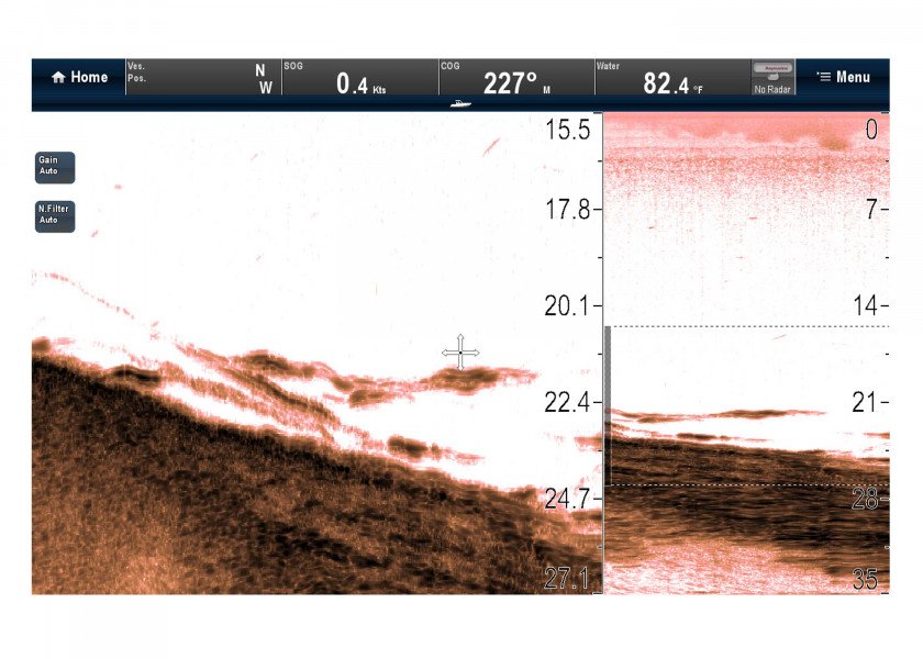 Купить Raymarine E70204 модуль плоттера CP100 CHIRP DownVision Grey 7ft.ru в интернет магазине Семь Футов