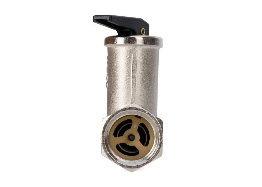 Купить Safety Valve / 6 bar 17854-bvs 7ft.ru в интернет магазине Семь Футов