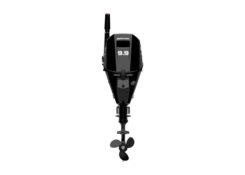 Купить MERCURY F9,9-EFI-MH F9.9 Подвесной мотор EFI MH / Короткий вал / Ручной запуск 7ft.ru в интернет магазине Семь Футов