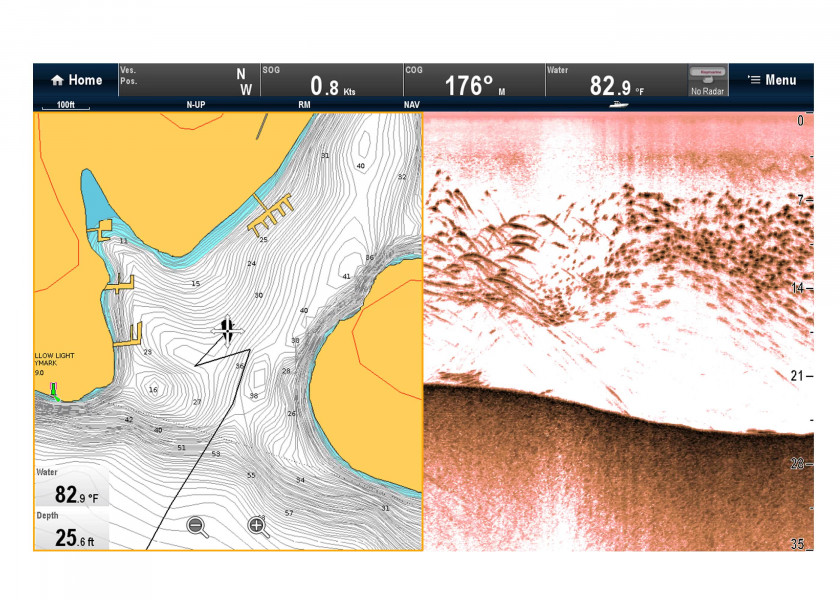 Купить Raymarine E70204 модуль плоттера CP100 CHIRP DownVision Grey 7ft.ru в интернет магазине Семь Футов