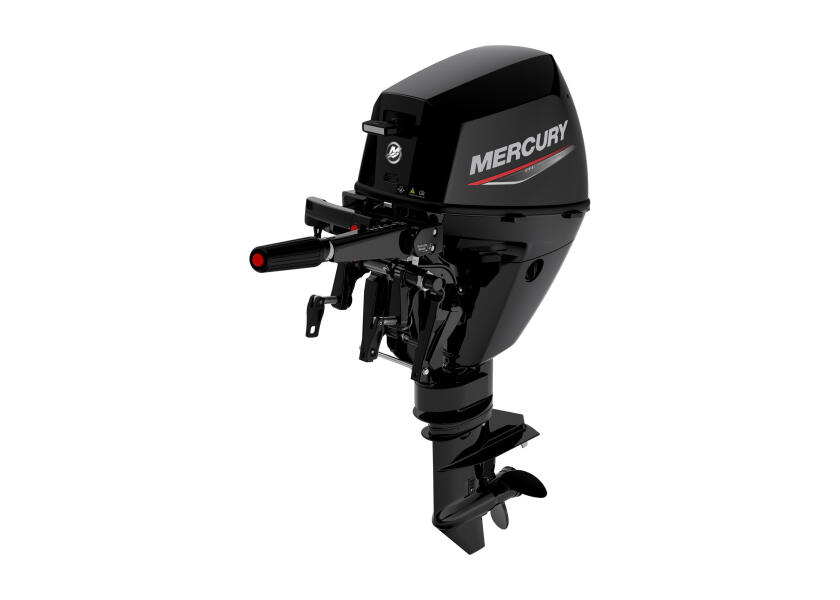 Купить MERCURY F9.9 EFI EH Outboard Motor / Short Shaft / Electric Start 60950-bvs 7ft.ru в интернет магазине Семь Футов
