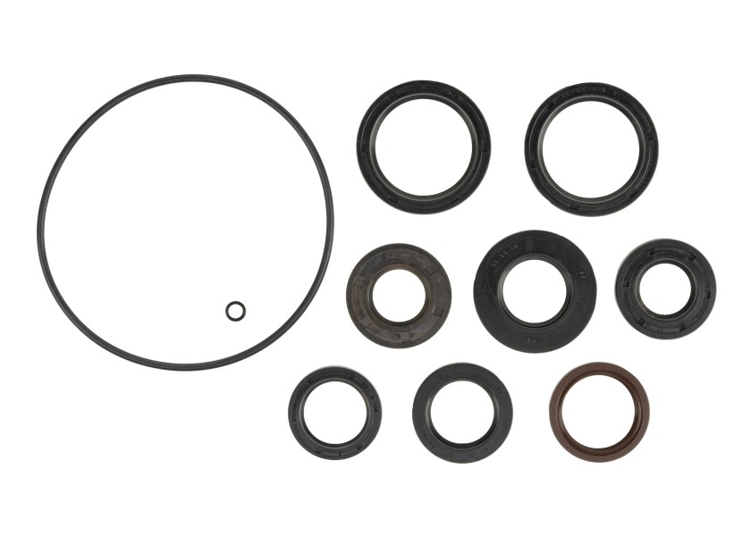 Купить LOFRANS KA06101 Комплект уплотнений для Kobra Leopard Progress 2 T1200 286009-bvs 7ft.ru в интернет магазине Семь Футов