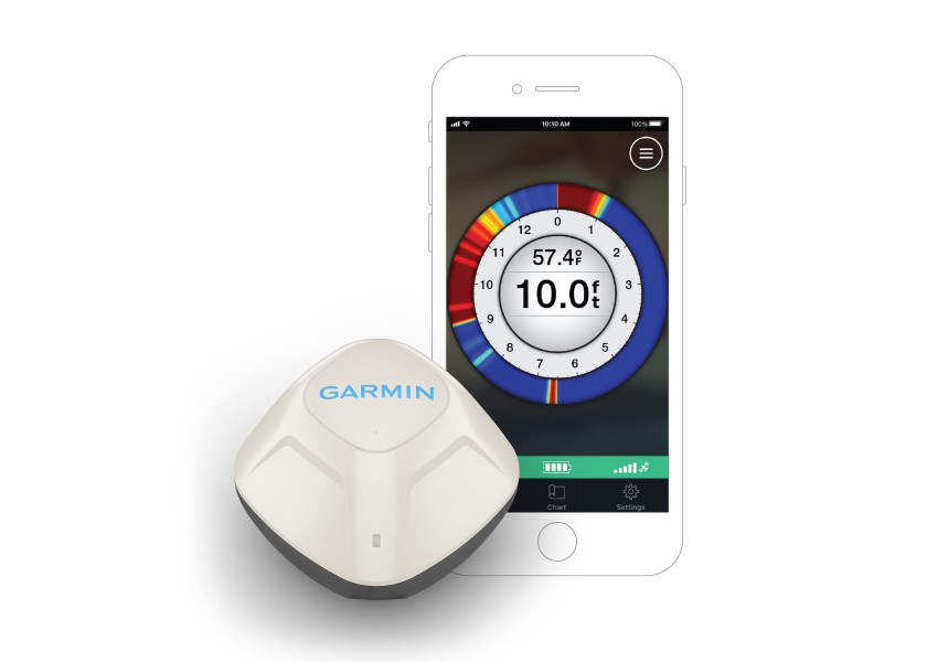 Купить Garmin 010-02246-00 Striker Cast С преобразователем Белая White 7ft.ru в интернет магазине Семь Футов