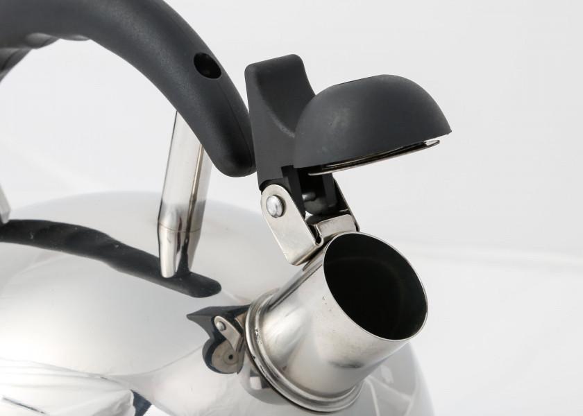 Купить Whistling kettle 14267-bvs 7ft.ru в интернет магазине Семь Футов