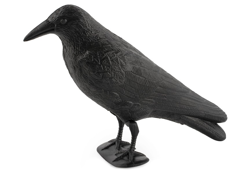 Купить PAULI Bird Deterrent 20118-bvs 7ft.ru в интернет магазине Семь Футов