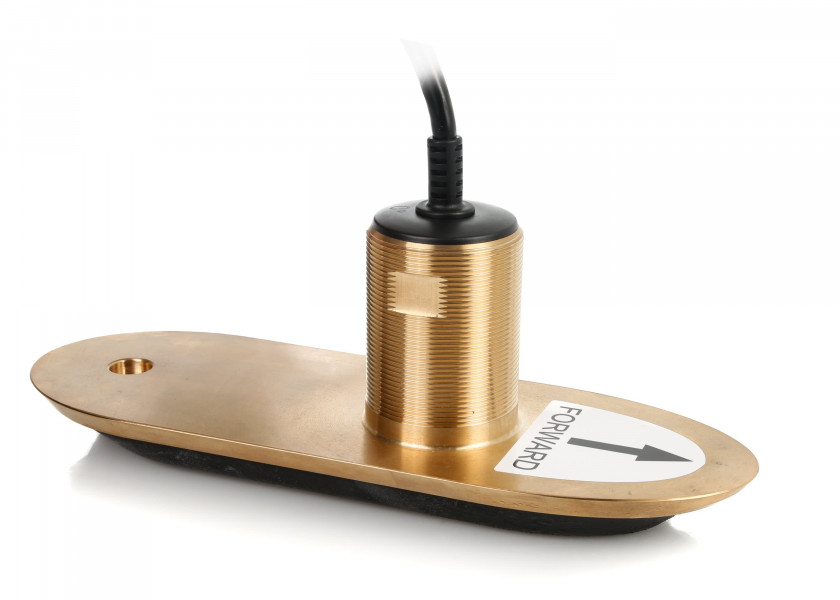 Купить Raymarine A80465 RV-200 RealVision 3D Thru-Hull Золотистый Bronze For Axiom  7ft.ru в интернет магазине Семь Футов