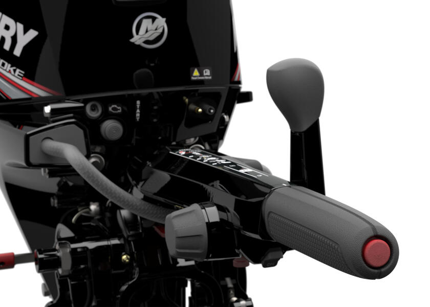 Купить MERCURY F20-EFI-ELH Подвесной мотор F20 EFI ELH / длинный вал / электрический запуск 7ft.ru в интернет магазине Семь Футов
