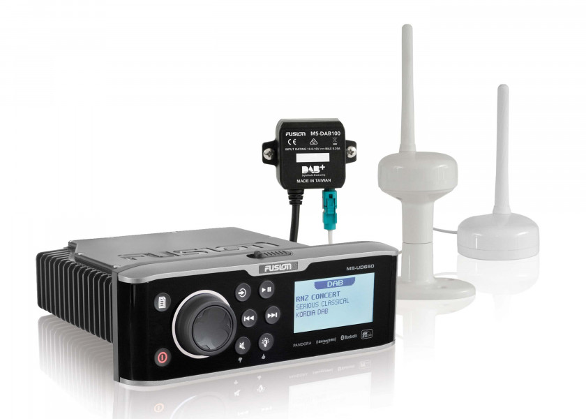 Купить MS-DAB100A DAB-модуль 7ft.ru в интернет магазине Семь Футов