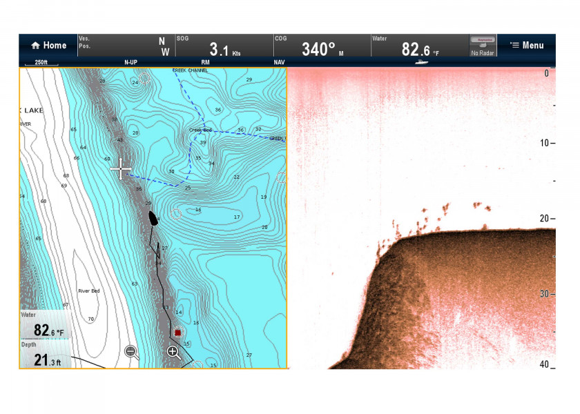 Купить Raymarine E70204 модуль плоттера CP100 CHIRP DownVision Grey 7ft.ru в интернет магазине Семь Футов