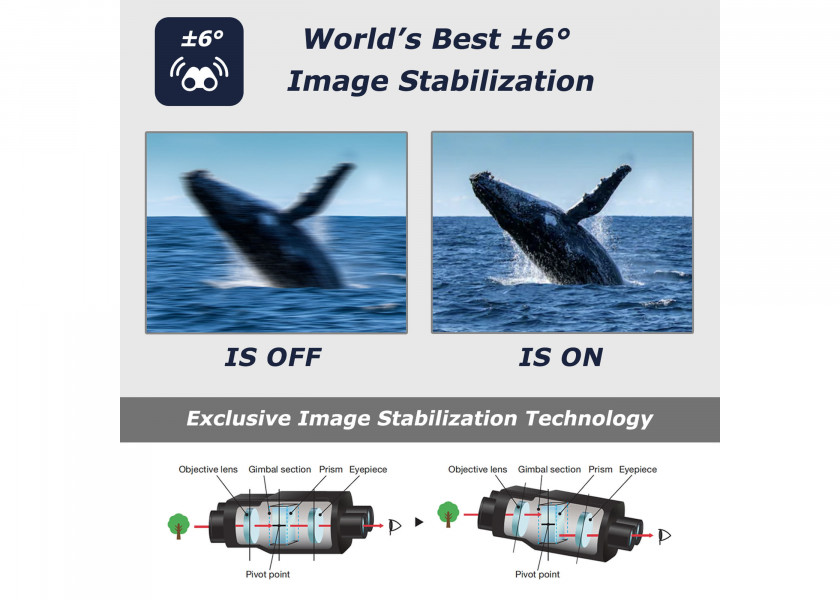 Купить FUJINON 16668012 Бинокль Techno-Stabi TS-X 14x40/стабилизатор изображения 7ft.ru в интернет магазине Семь Футов