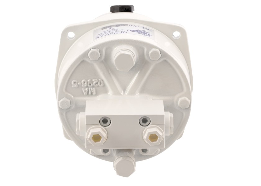 Купить MARSILI 14.020-WITH-VALVE Гидравлический насос с обратным клапаном C7/37 40087-bvs 7ft.ru в интернет магазине Семь Футов