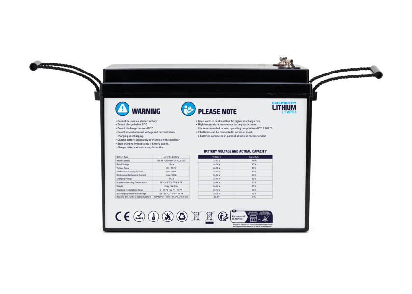 Купить Морская литиевая батарея LiFePO4 / 24 В / 100 Ач 7ft.ru в интернет магазине Семь Футов
