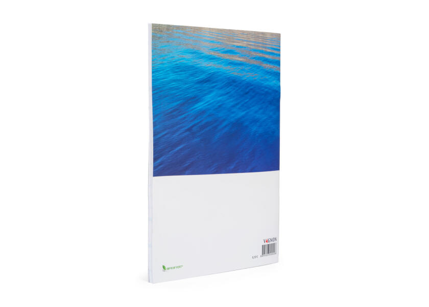 Купить VAGNON Livre de bord 77789-bvs 7ft.ru в интернет магазине Семь Футов