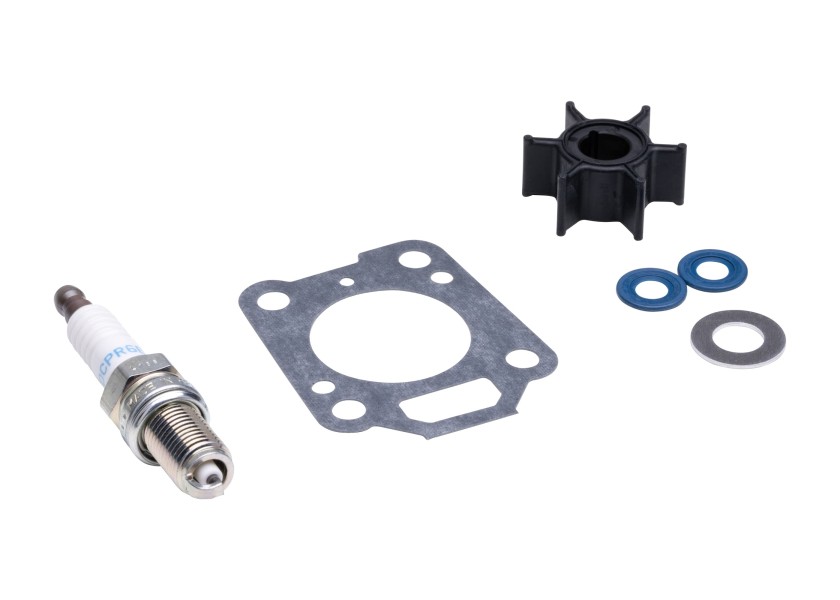 Купить MERCURY Service Kit for 4/5/6 HP Outboards 61312-bvs 7ft.ru в интернет магазине Семь Футов