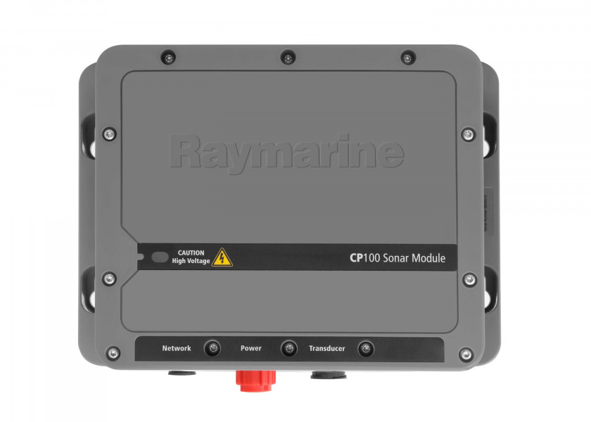 Купить Raymarine E70204 модуль плоттера CP100 CHIRP DownVision Grey 7ft.ru в интернет магазине Семь Футов