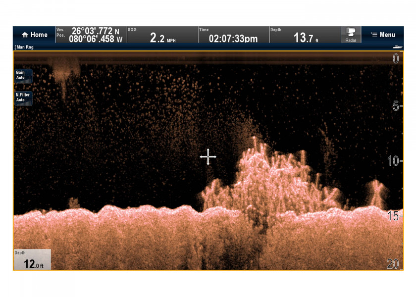 Купить Raymarine E70204 модуль плоттера CP100 CHIRP DownVision Grey 7ft.ru в интернет магазине Семь Футов