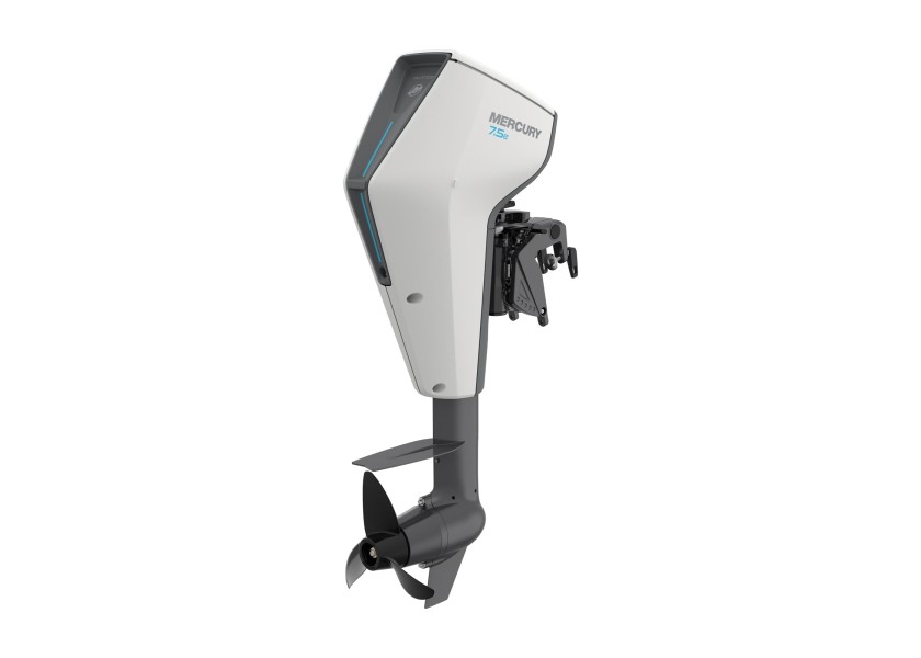Купить MERCURY 1001E041A Электрический подвесной мотор AVATOR 7.5 ELRC 7ft.ru в интернет магазине Семь Футов
