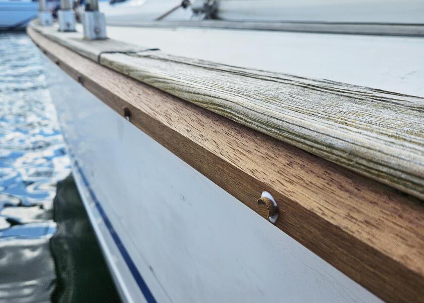 Купить ARC 154 Тиковые заглушки / 100 шт. / Ø: 8 мм 12867-bvs 7ft.ru в интернет магазине Семь Футов