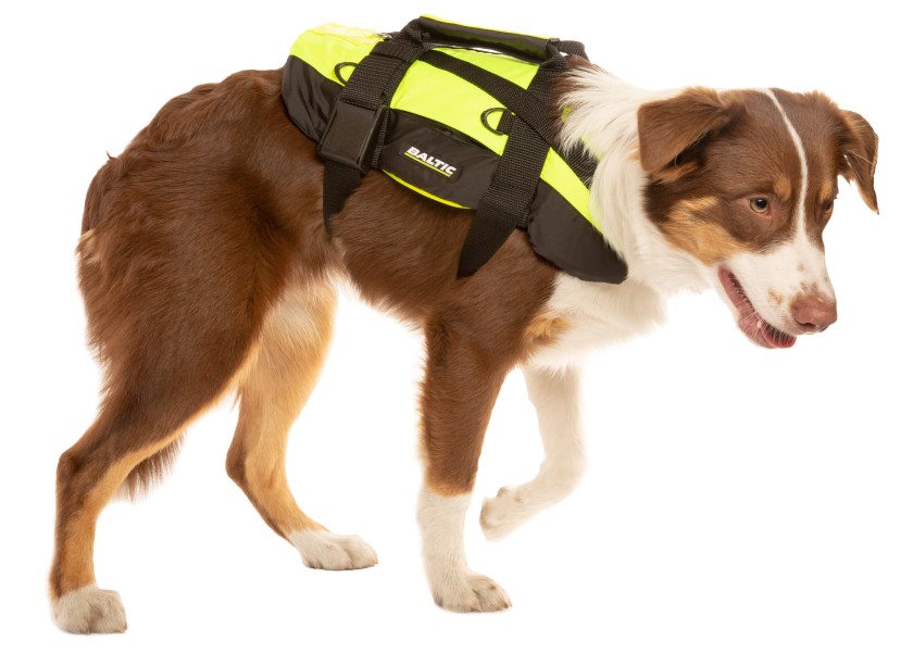 Купить PROFESSIONAL Dog Life Jacket / for 40 - 70 kg 57536-bvs 7ft.ru в интернет магазине Семь Футов