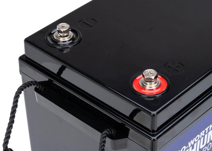 Купить Морская литиевая батарея LiFePO4 / 24 В / 100 Ач 7ft.ru в интернет магазине Семь Футов