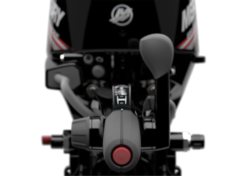 Купить MERCURY F20-EFI-ELH Подвесной мотор F20 EFI ELH / длинный вал / электрический запуск 7ft.ru в интернет магазине Семь Футов