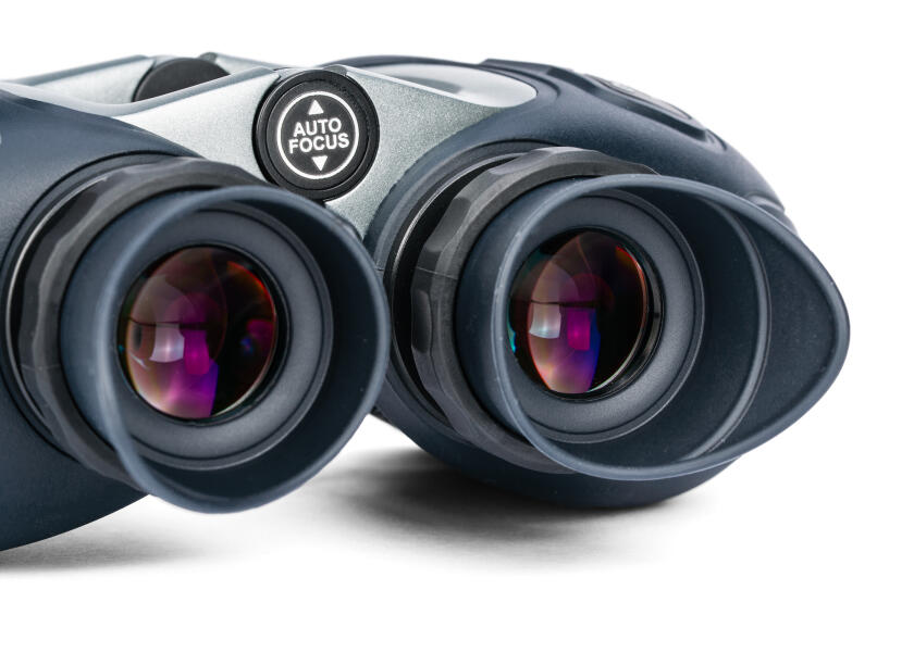 Купить STEINER COMMANDER 7x50 Binoculars / new version 96160-bvs 7ft.ru в интернет магазине Семь Футов
