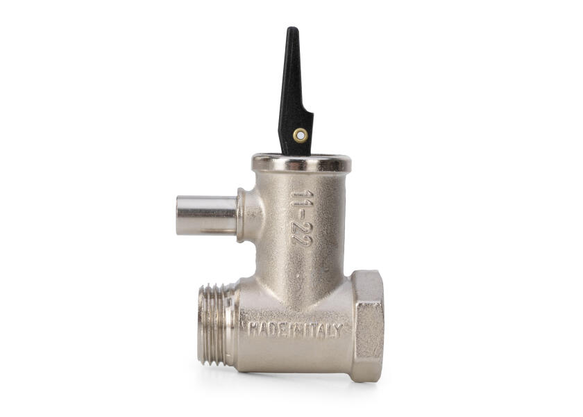 Купить Safety Valve / 6 bar 17854-bvs 7ft.ru в интернет магазине Семь Футов