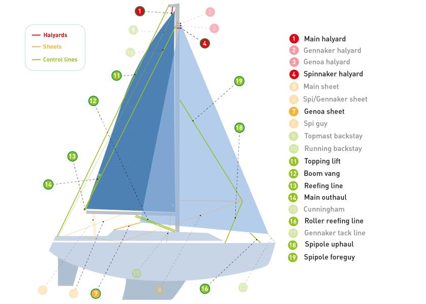 Купить LIROS HERKULES Color 558933-bvs 7ft.ru в интернет магазине Семь Футов