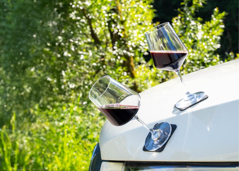 Купить SILWY KO-WI-CL-2 Магнитный пластиковый стакан WINE CLASSIC / набор из 2 шт. 7ft.ru в интернет магазине Семь Футов