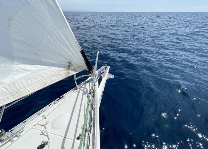 Купить ULTRA MARINE UA60 Якорь из нержавеющей стали / Вес якоря: 60 кг. 7ft.ru в интернет магазине Семь Футов