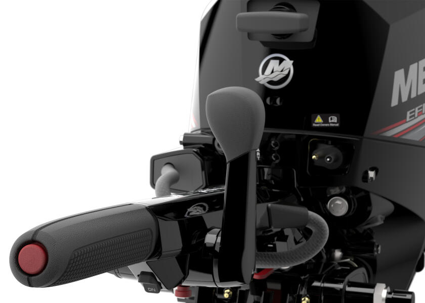 Купить MERCURY F15-EFI-ELH Подвесной мотор F15 EFI ELH / длинный вал / электрический запуск 7ft.ru в интернет магазине Семь Футов