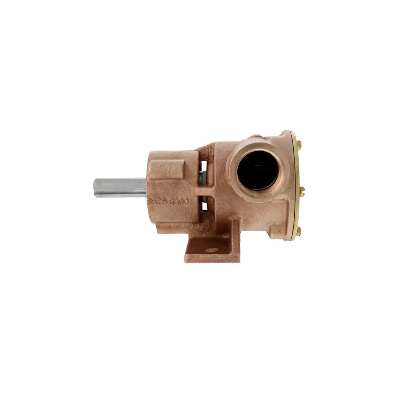 Купить Jabsco 777-9003 Бронзовый насос, ножной вариант, BG 080, 1" NPT внутренняя резьба, 1/1, МЕХ, НИТ 7ft.ru в интернет магазине Семь Футов