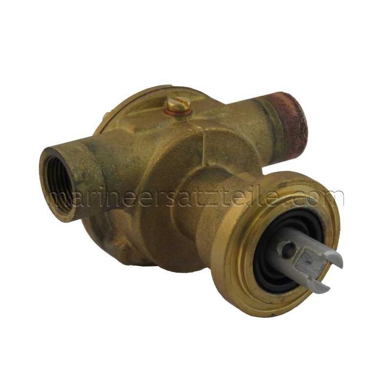 Купить Johnson Pump 10-35118-1 Bronze Impeller Pump F35B-9, flange-mounted, R 3/8" BSP, 1/1, MC97 7ft.ru в интернет магазине Семь Футов