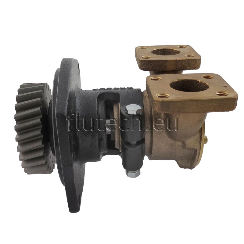 Купить Jabsco 10970-21 Bronze Pump, bearing housing/flange-mounted, square flanged ports with 25mm ID, 1/1, NEO 7ft.ru в интернет магазине Семь Футов